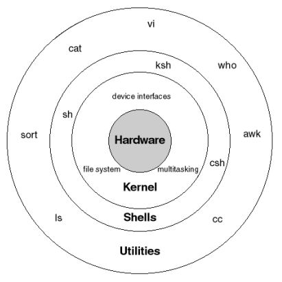 unix shell figure